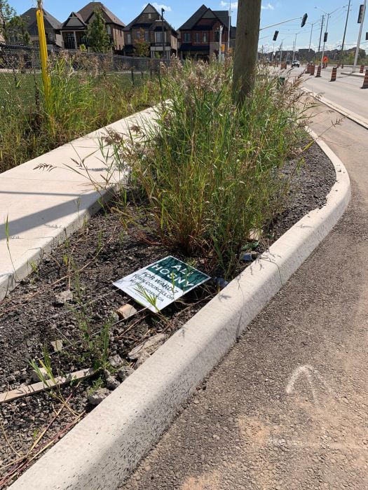More vandalized and thrown away signs :(